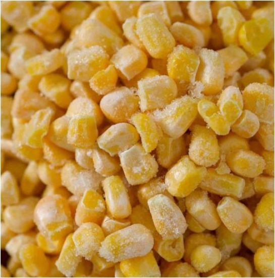 Picture of IQF Frozen Sweet Corn